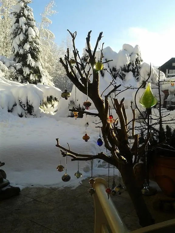 Špindlerŭv Mlýn 安达特旅馆酒店 3*, Špindlerŭv Mlýn