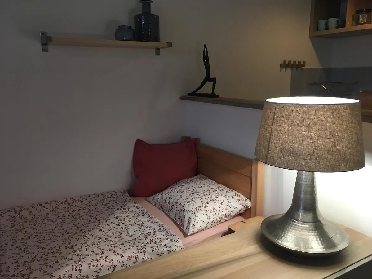 *** 招待所 Špindlerŭv Mlýn 安达特旅馆酒店 捷克